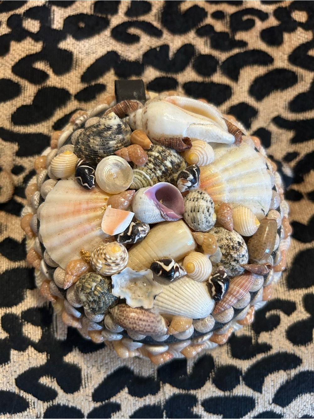 Vintage round seashell trinket box